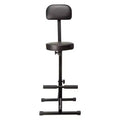 Sgabello Portatile Imbottito per Musicisti e Artisti con Limite di Peso di 136 kg, Altezza Regolabile e Schienale, Nero