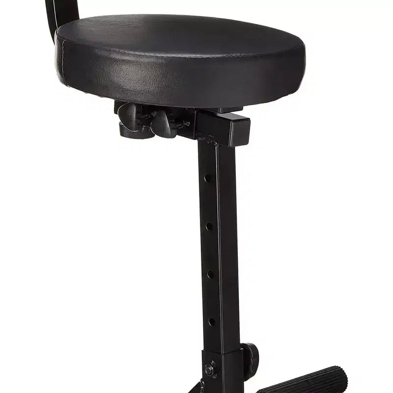 Sgabello Portatile Imbottito per Musicisti e Artisti con Limite di Peso di 136 kg, Altezza Regolabile e Schienale, Nero
